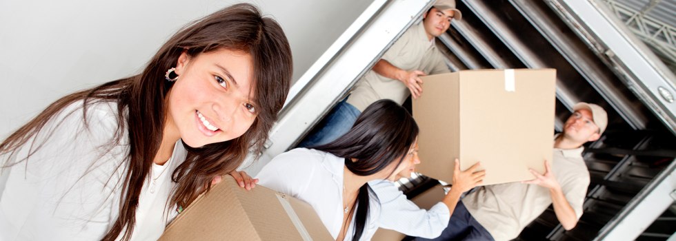 Professional Removalists Sutherland Shire 
